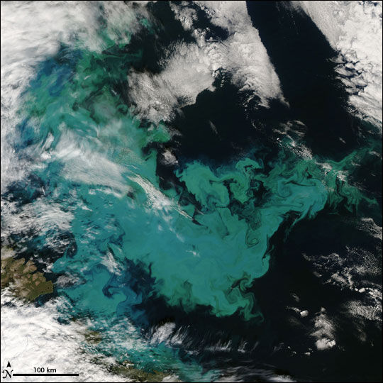 NASAEarthObservatory_MarinePhotobank